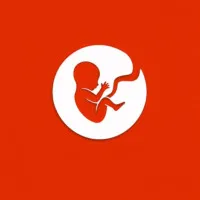 Bitlife