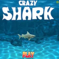Crazy Shark