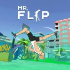 /data/image/game/mrflip.jpg