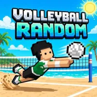 Volleyball Random