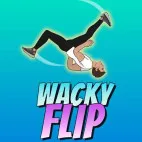 /data/image/game/wacky-flip-slope-1.jpg