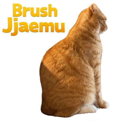 Brush Jjaemu