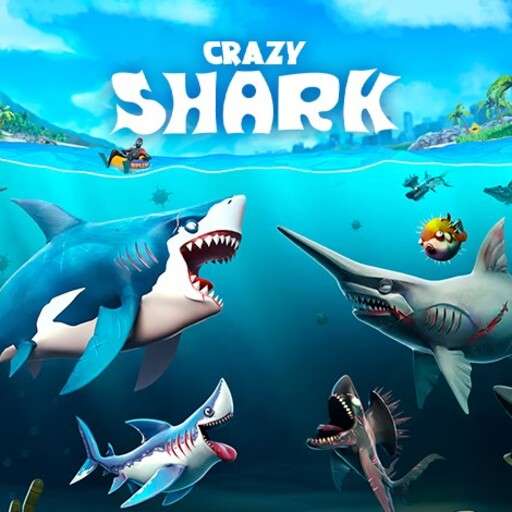 Crazy Shark