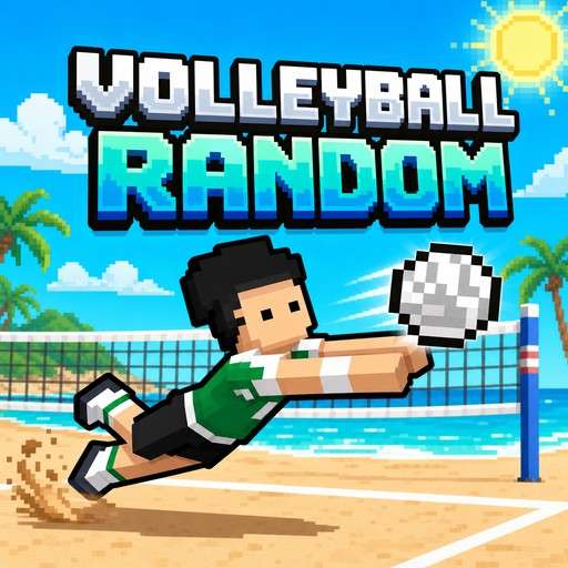Volleyball Random
